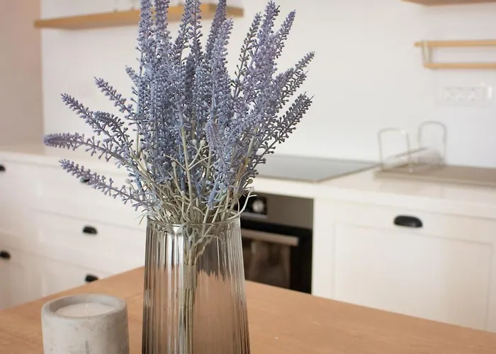 Crystal Self-check-in Daire *